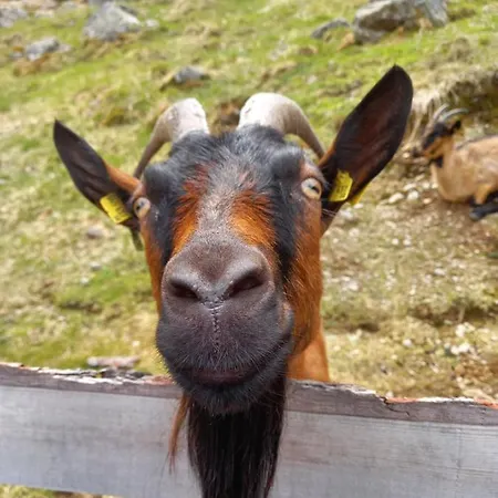 Haus Blickfang * Neustift im Stubaital