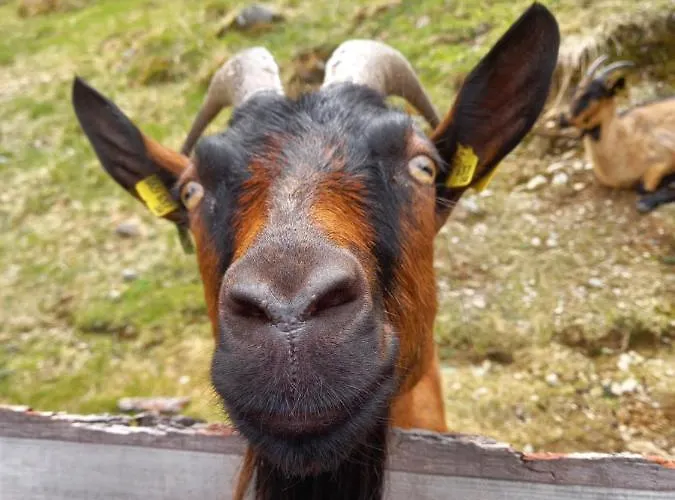 Haus Blickfang * Rehoboth Beach