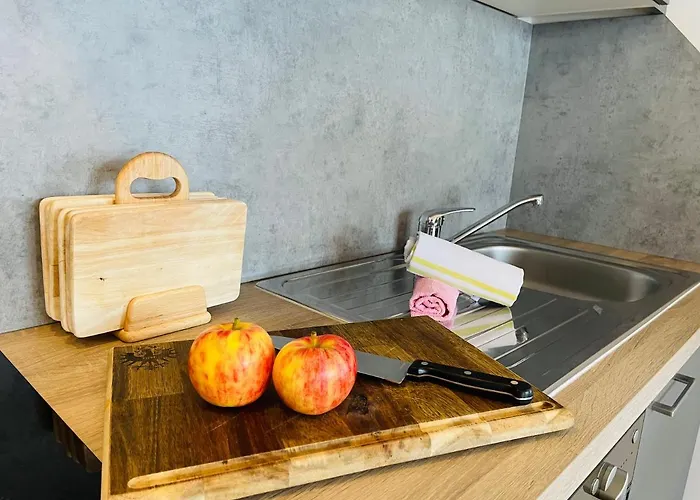 Haus Blickfang 아파트 *